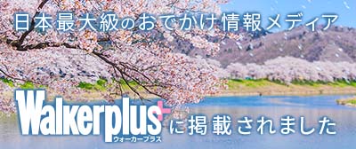 お花見情報