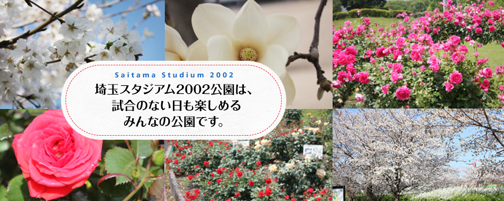 埼玉スタジアム2002公園は、 試合のない日も楽しめる みんなの公園です。