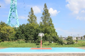 バスケットボールコート