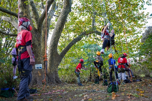 ツリークライミング